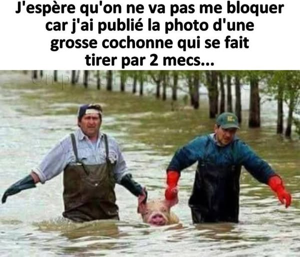 cochonne.jpg