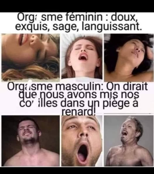 org.......jpg