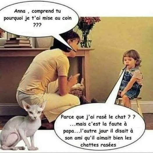 rasé.jpg