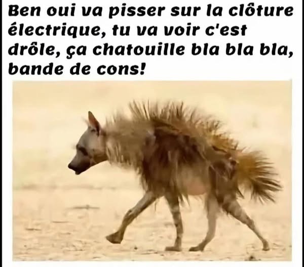 blablabla.jpg