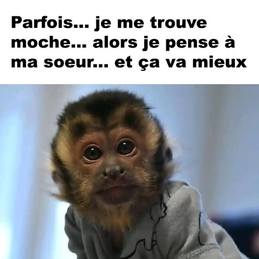 moche.jpg