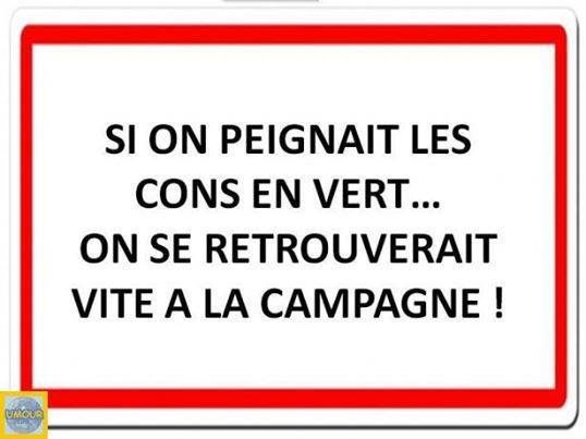 cons a la campagne.jpg