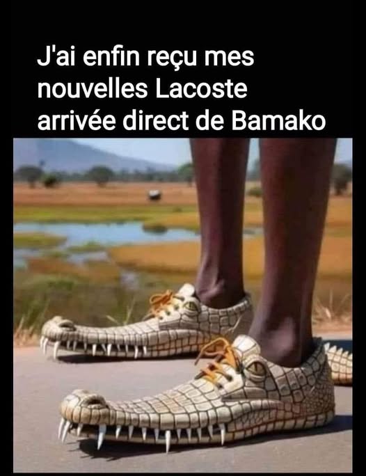 lacoste.jpg