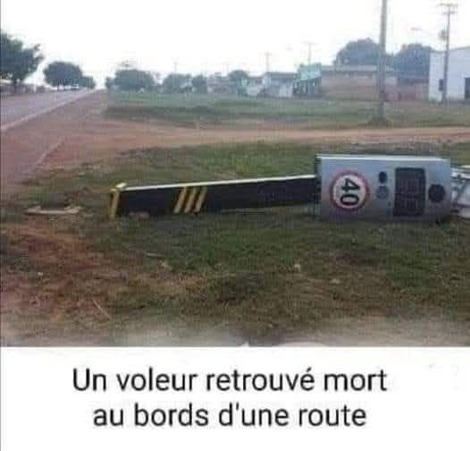 voleur.jpg