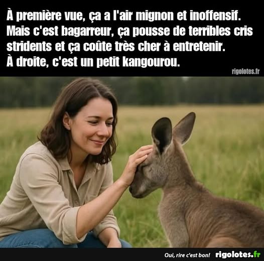 mignon.jpg
