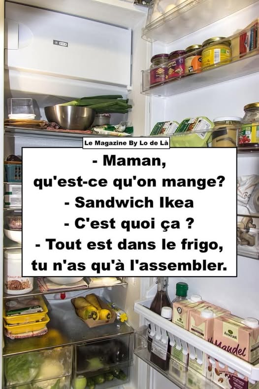 mange.jpg