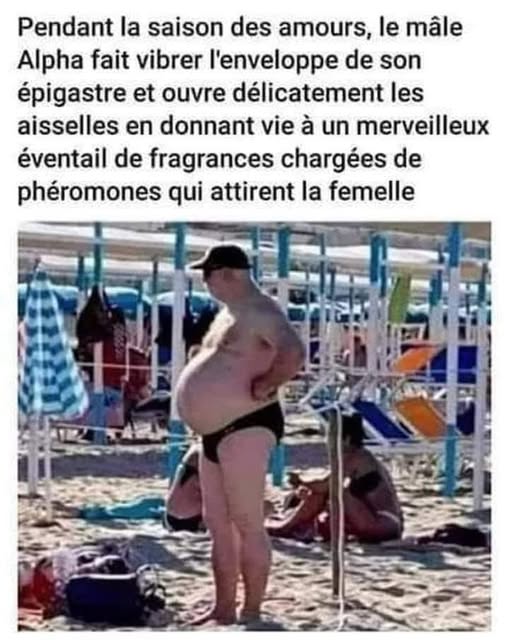 le mâle.jpg