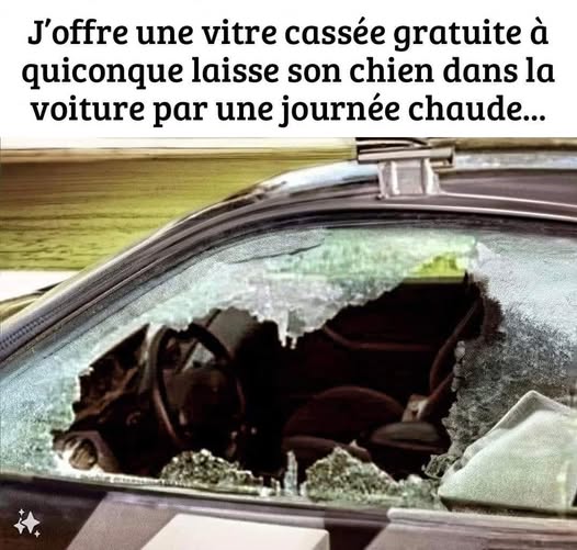 vitre.jpg