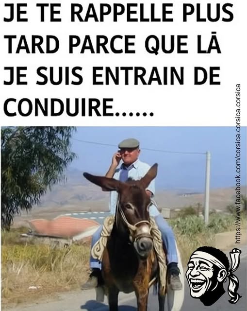 conduire.jpg