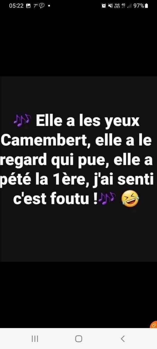 camembert.jpg