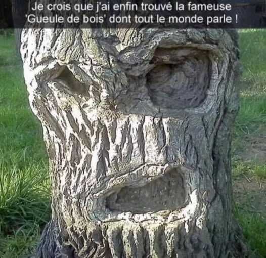 gueule de......jpg