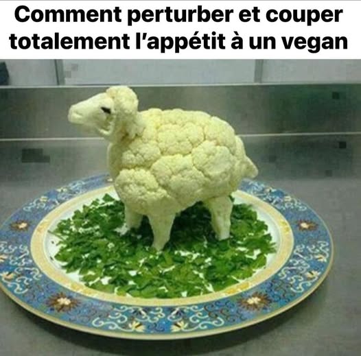 vegan.jpg