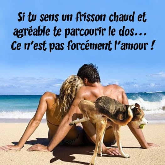 frisson.jpg