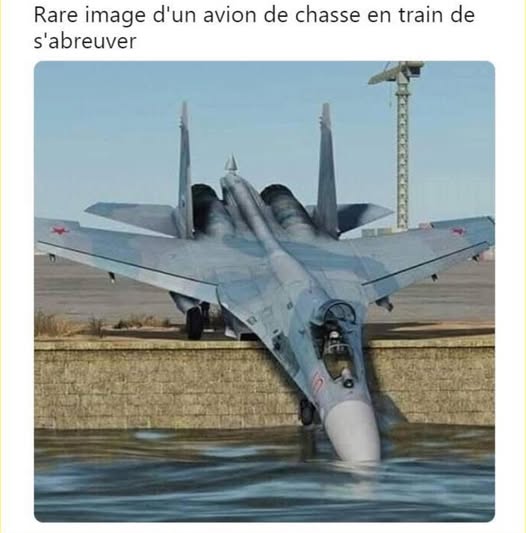 avion.jpg