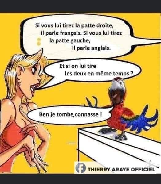 patte.jpg