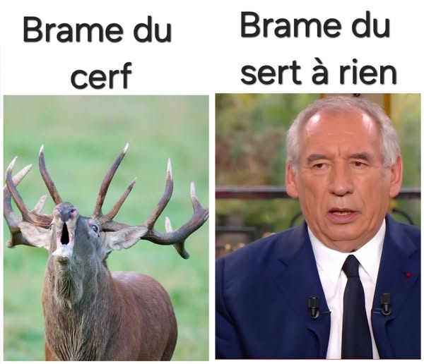 brame.jpg