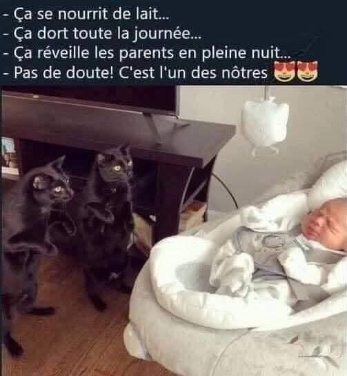 reveille.jpg
