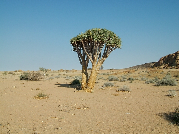 DSCF1549.JPG