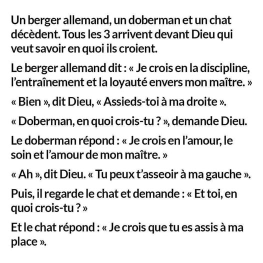 devant dieu.jpg