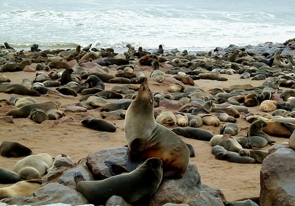 DSCF1573.JPG