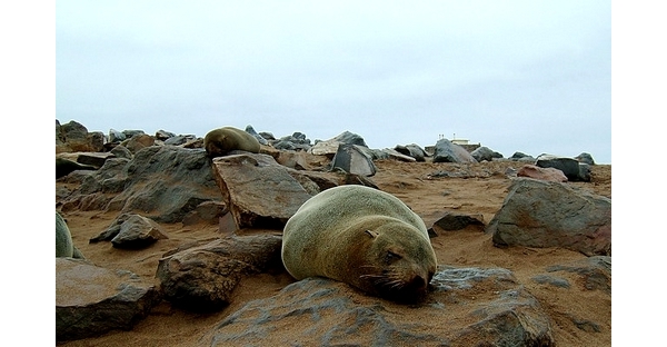 DSCF1568.JPG