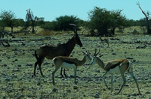 DSCF1676.JPG