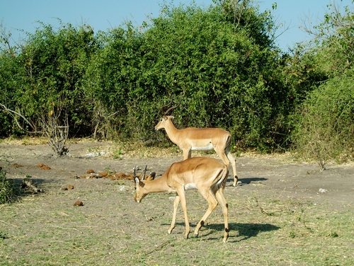 DSCF1822.JPG