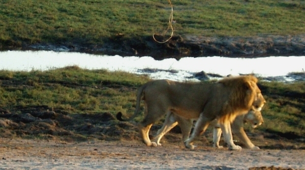 DSCF1802.JPG