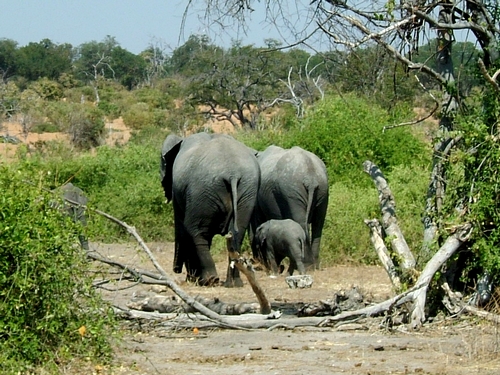 DSCF1871.JPG