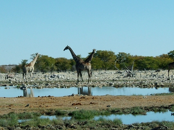 DSCF1700.JPG