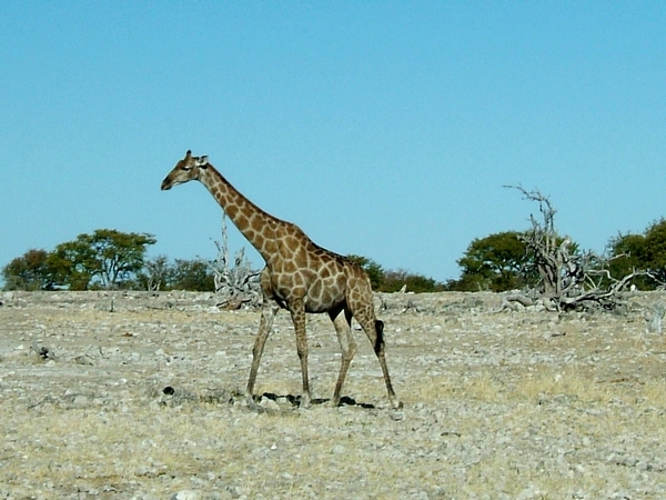 DSCF1702.JPG