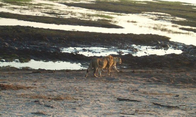 DSCF1796.JPG
