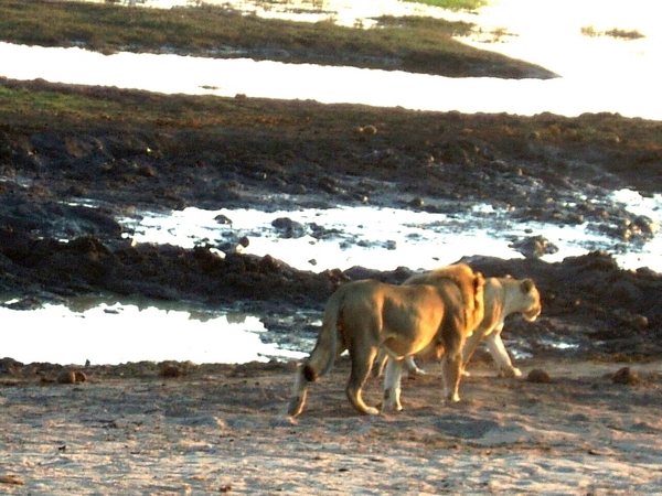 DSCF1805.JPG