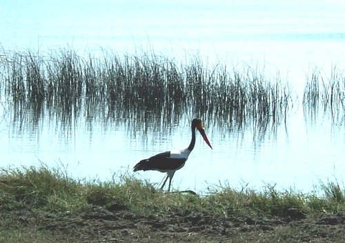 DSCF1902.JPG