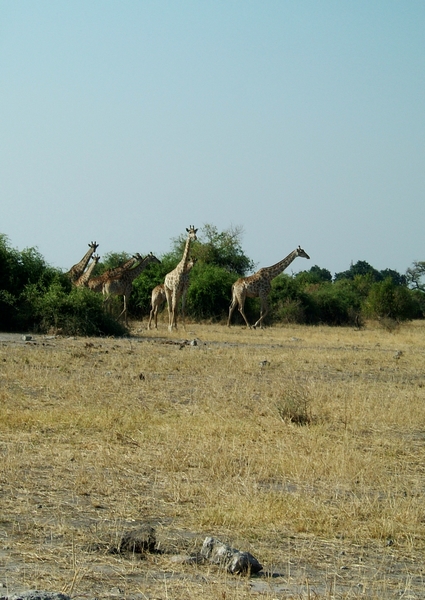 DSCF1948.JPG