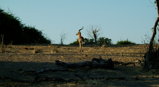 DSCF1810.JPG