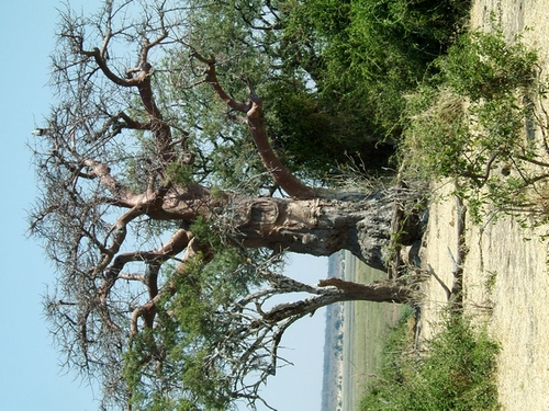 DSCF1924.JPG