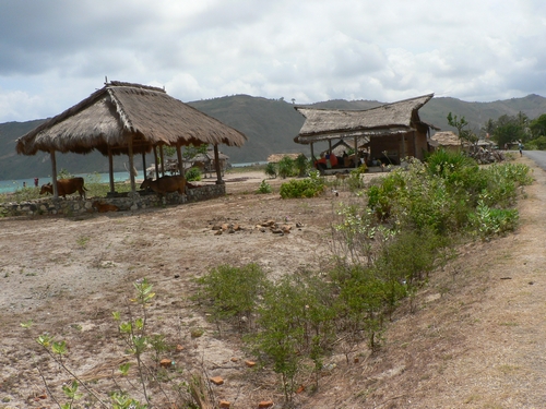 P1050320.JPG