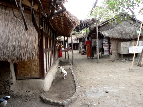P1050335.JPG