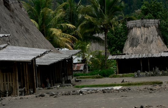 P1050758.JPG