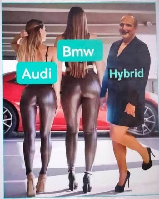 marques......jpg