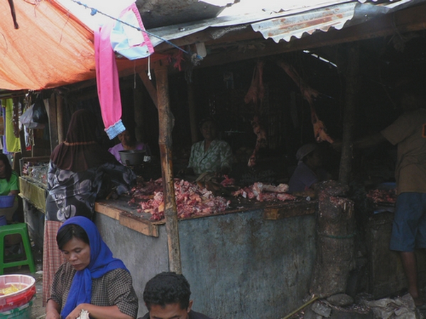 P1050365.JPG