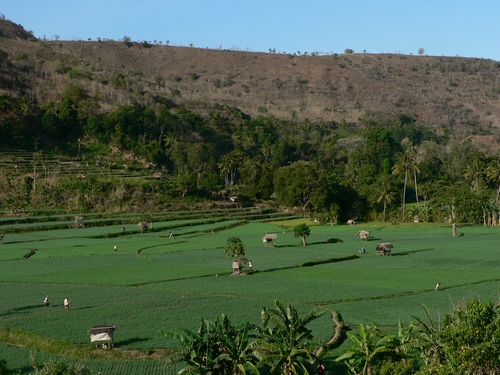 P1050434.JPG
