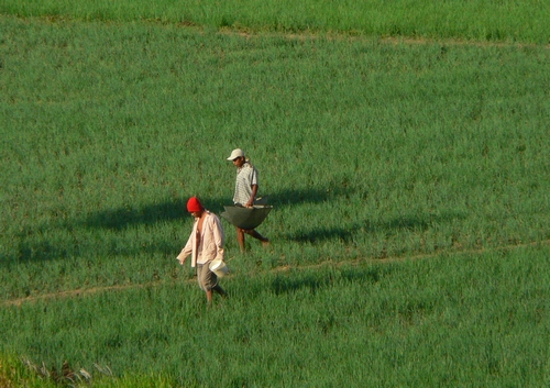 P1050442.JPG