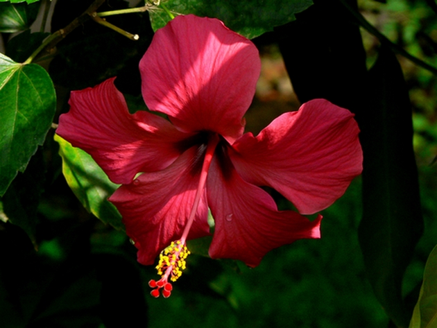 P1050344.JPG