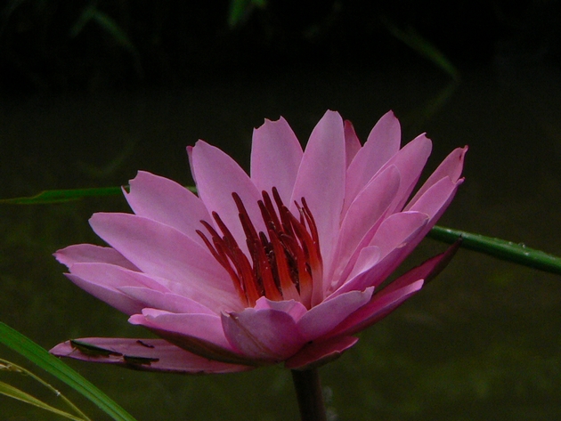 P1050346.JPG
