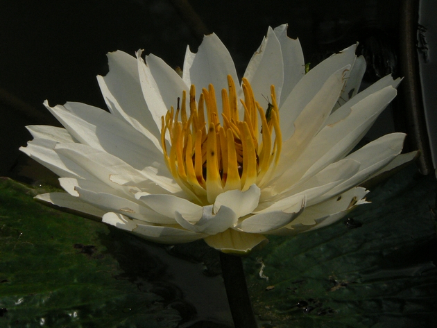 P1050348.JPG