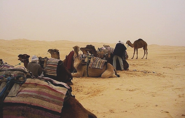 puis des moyens de transport plus traditionnels