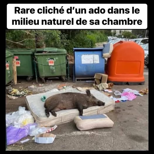 cliché ado.jpg