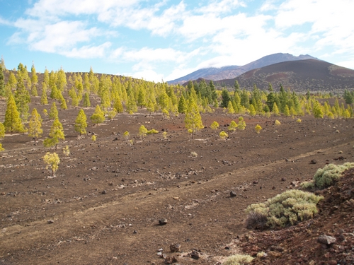 Mais la nature reprend toujours ses droits